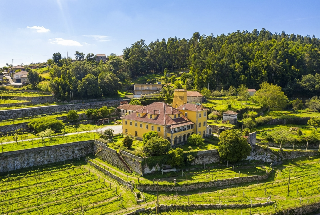QUINTA PARA VENDA MARCO CANAVESES QUINTA PARA VENDA MARCO CANAVESES