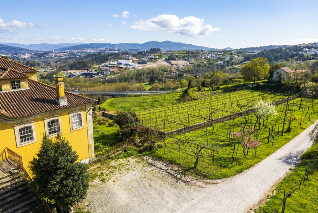 QUINTA PARA VENDA MARCO CANAVESES QUINTA PARA VENDA MARCO CANAVESES