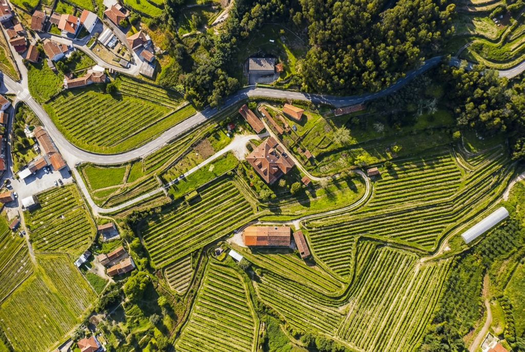 QUINTA PARA VENDA MARCO CANAVESES QUINTA PARA VENDA MARCO CANAVESES
