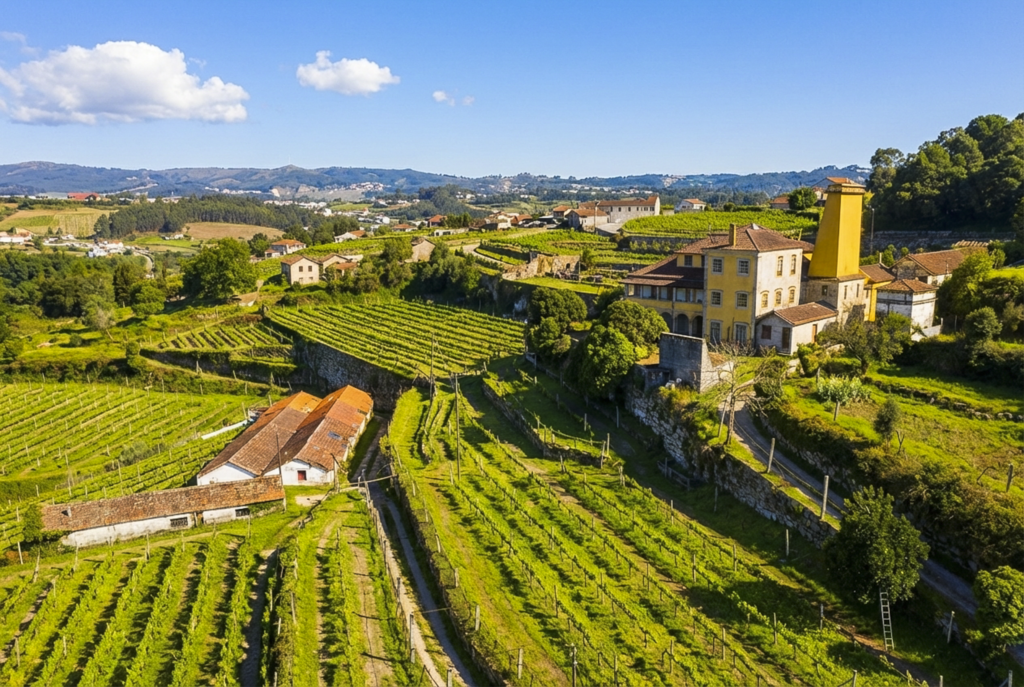 QUINTA PARA VENDA MARCO CANAVESES QUINTA PARA VENDA MARCO CANAVESES