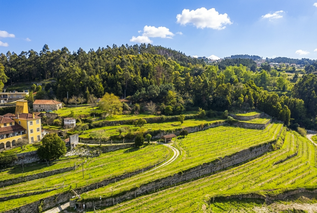 QUINTA PARA VENDA MARCO CANAVESES QUINTA PARA VENDA MARCO CANAVESES